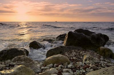 Прикрепленное изображение: Херсонес розовый (Копировать) (Копировать).JPG